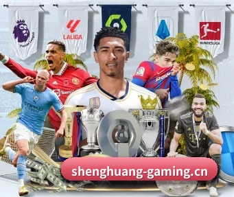 盛煌娱乐gaming APP
